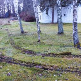 ...A POŠKOZUJE LÉTA PĚSTOVANOU A UDRŽOVANOU LOUKU